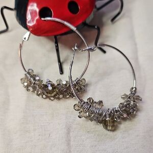 Elegant Silver Hoop Earrings with Crystal Accents